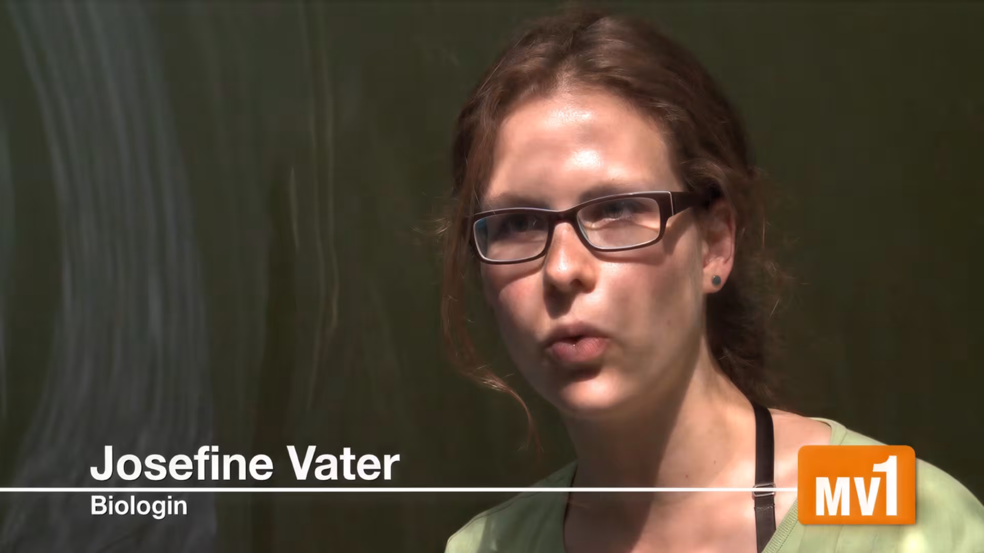 Willkommen in den WasserWelten!