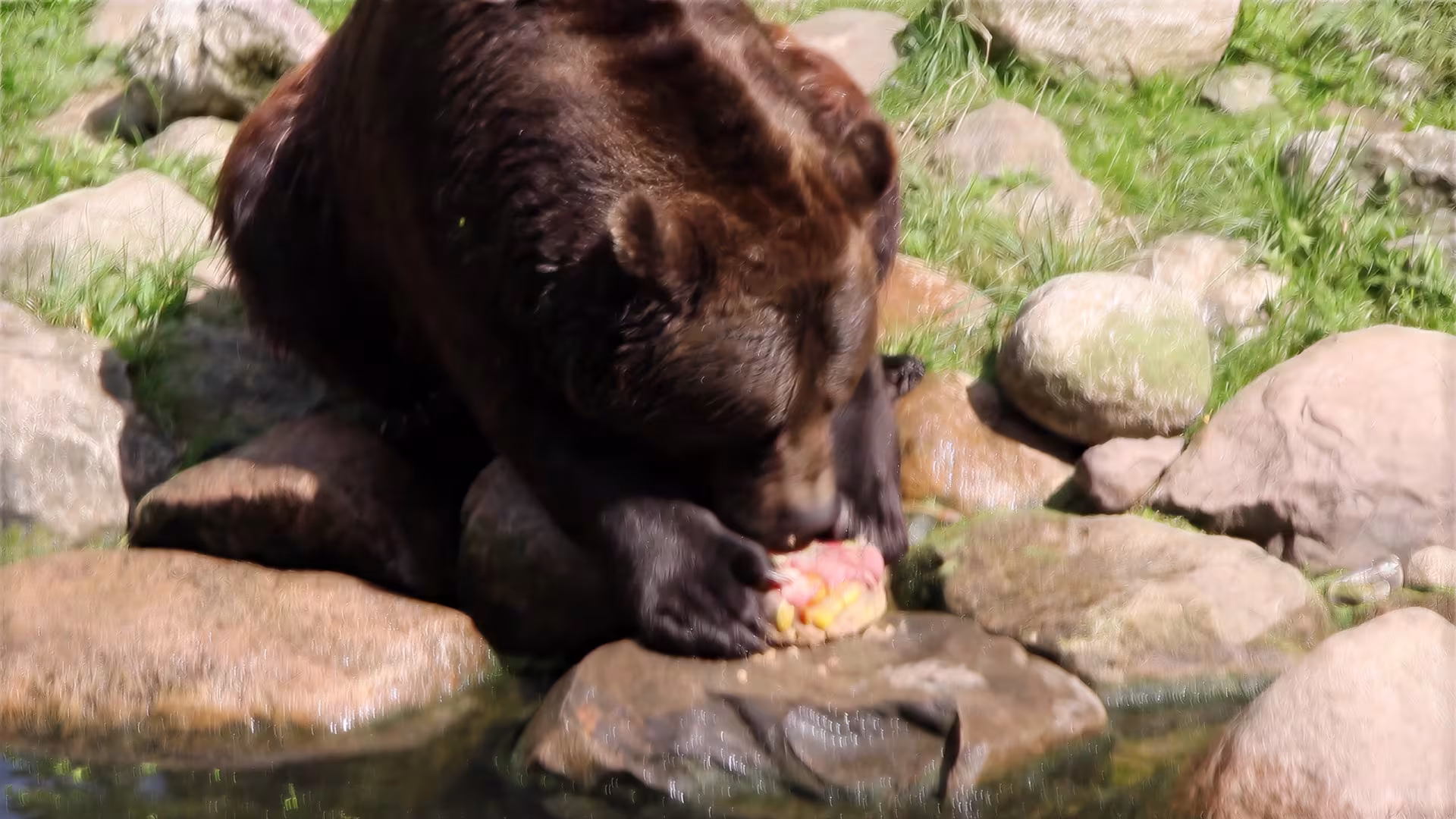 Sommerzeit ist Eisbomben-Zeit