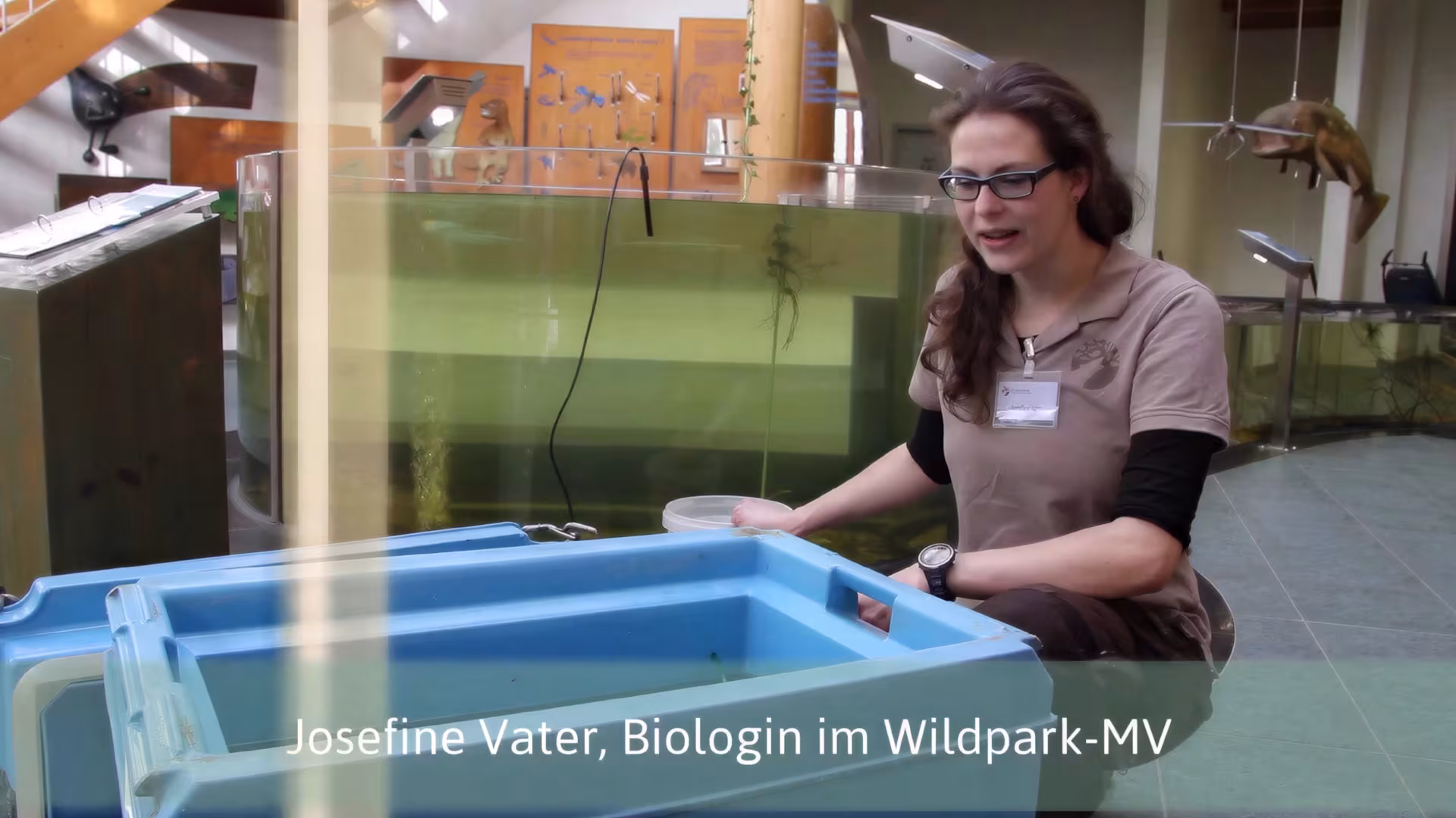 Neue Fische ziehen ein