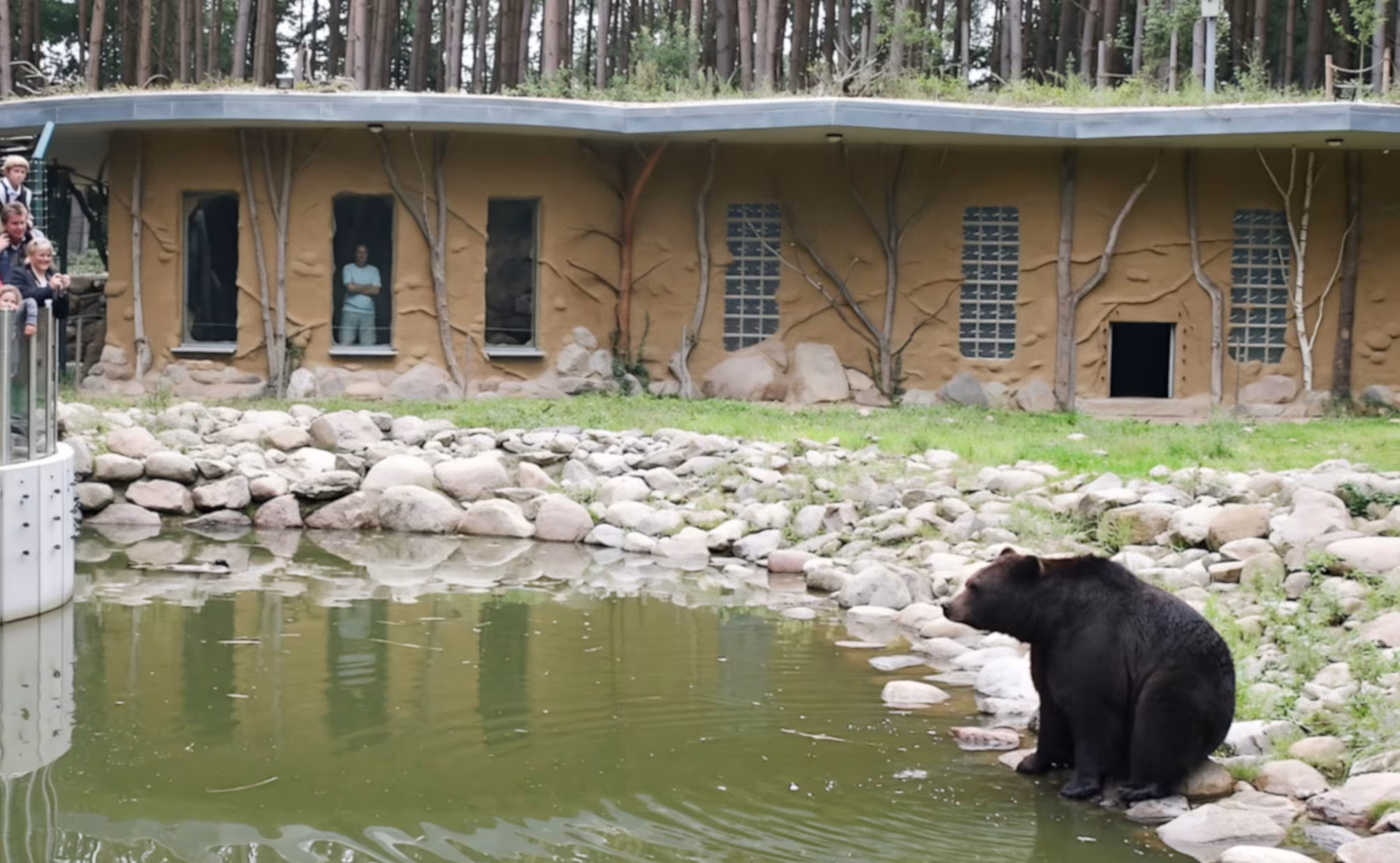 Wildpark-MV