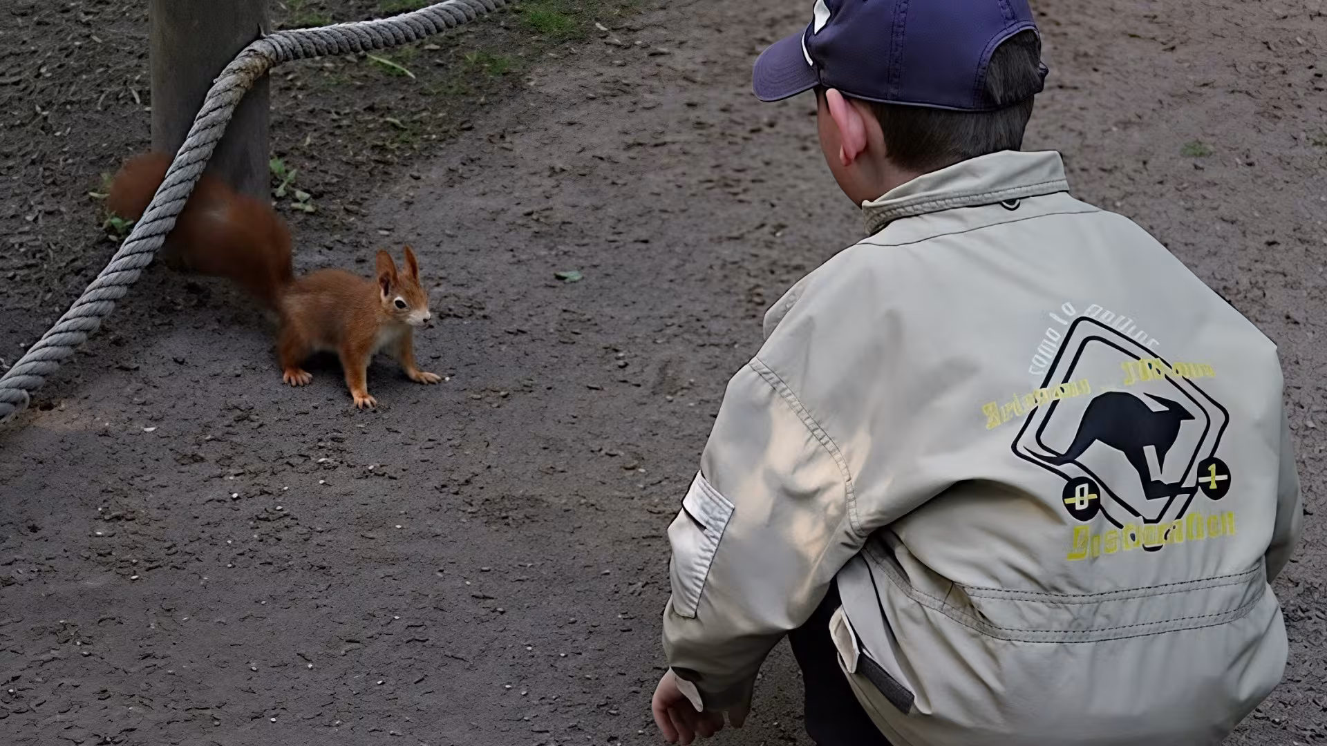 Tierisch nahe Erlebnisse im begehbaren Eichhörnchenkobel