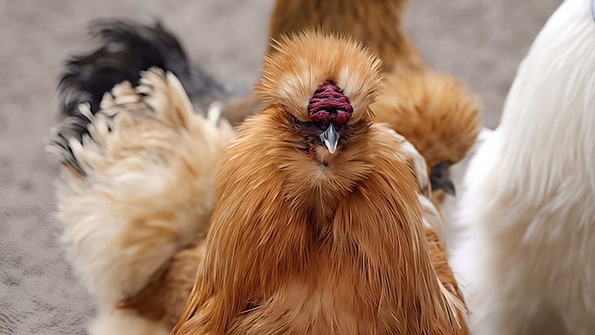 Lässige Typen mit coolen Frisuren