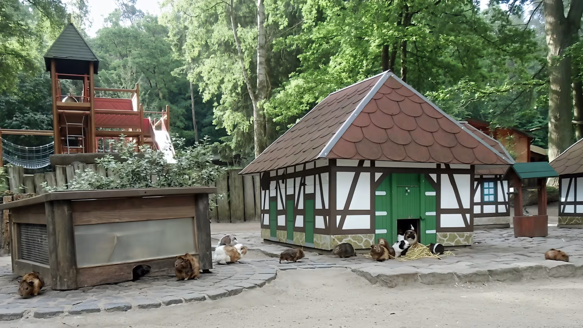 Wildpark-MV