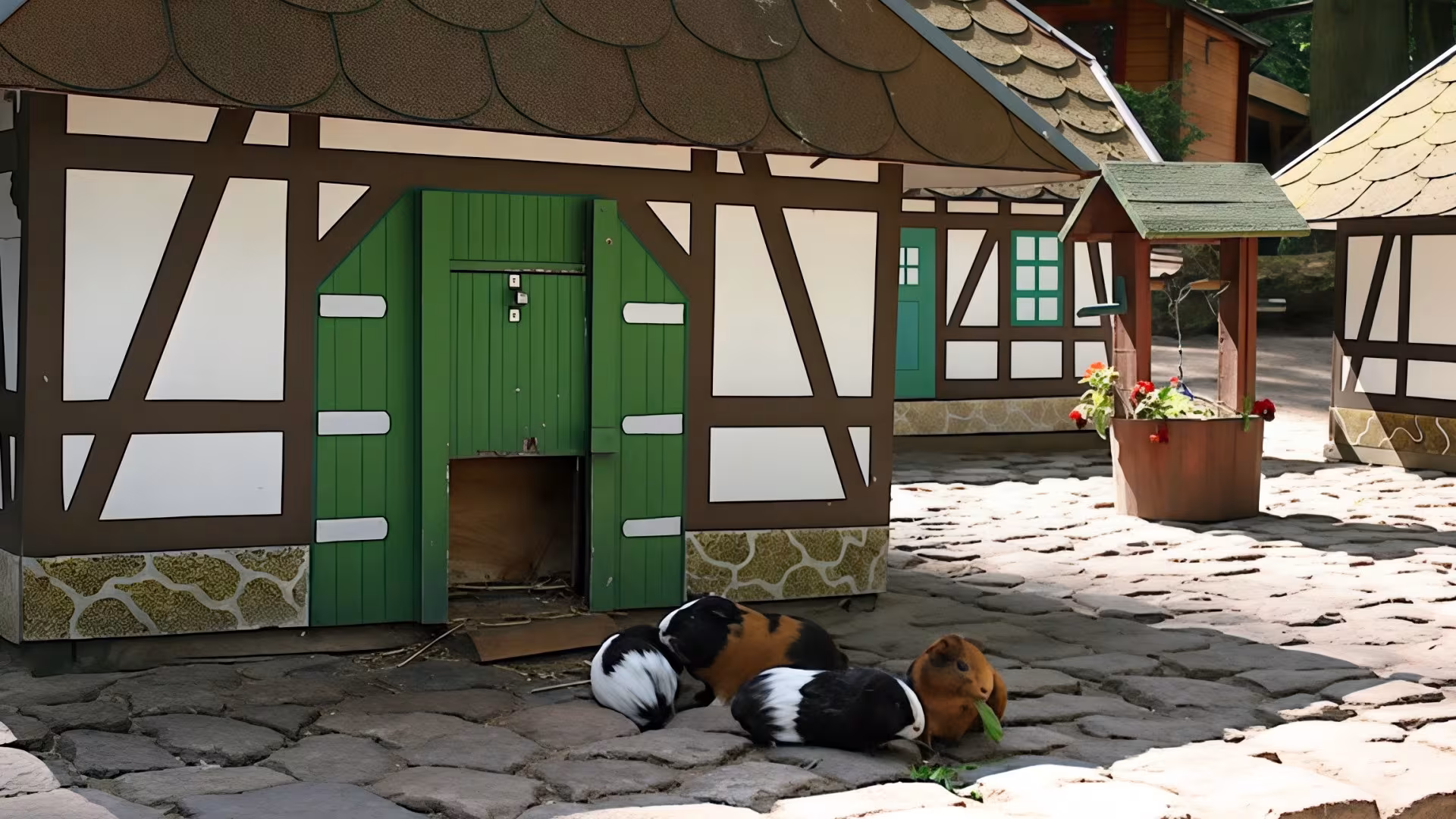Willkommen in Meerschweinchenhausen!