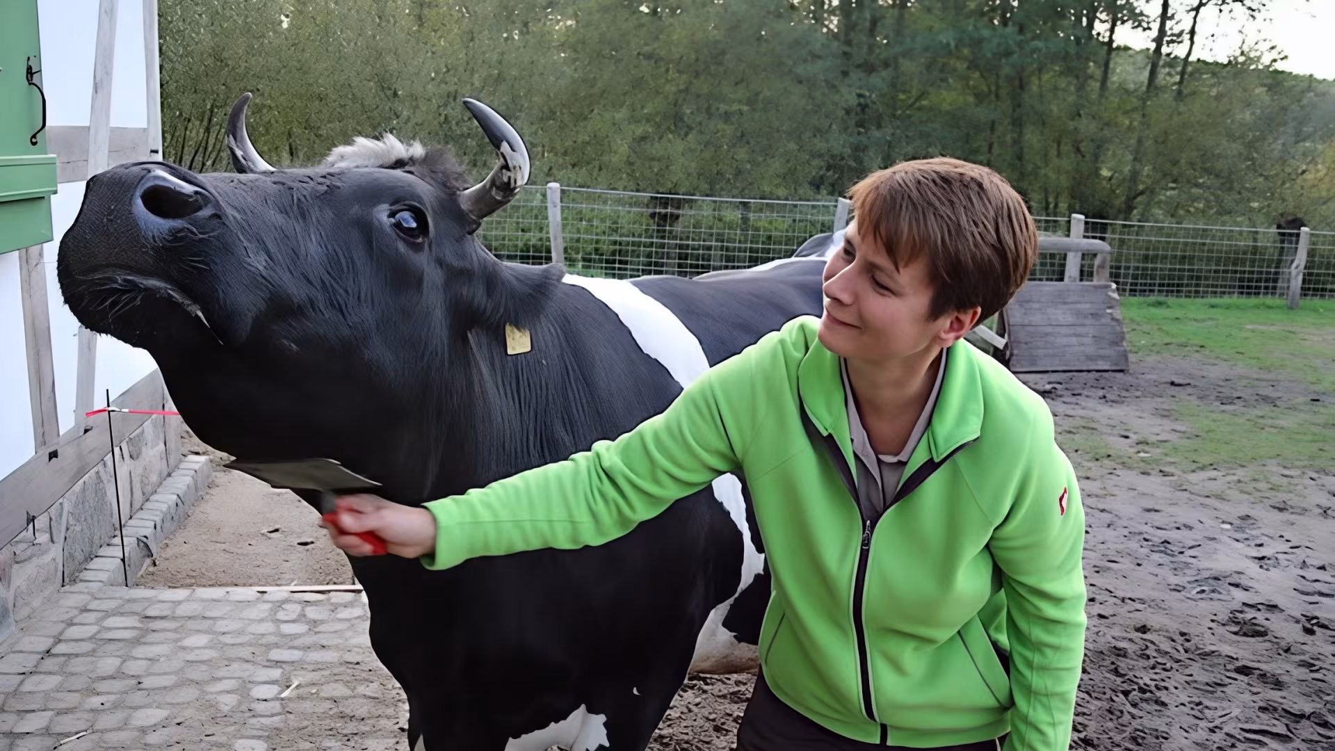 Verwöhnprogramm Teil 2