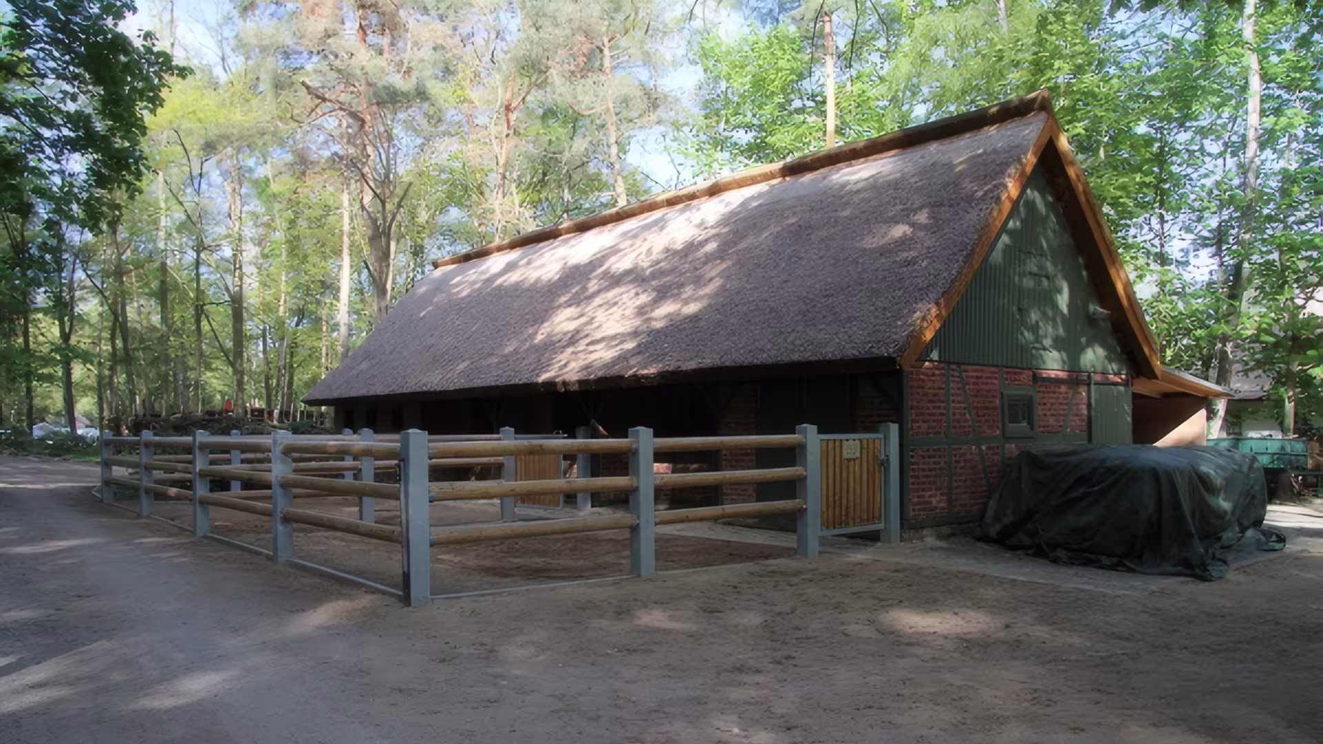 Wildpark-MV