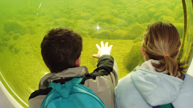 AQUA-Tunnel im Wildpark-MV