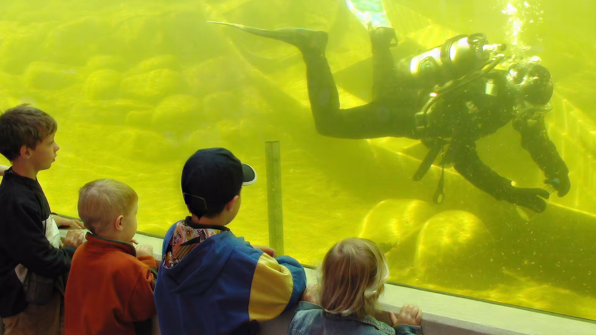 AQUA-Tunnel im Wildpark-MV