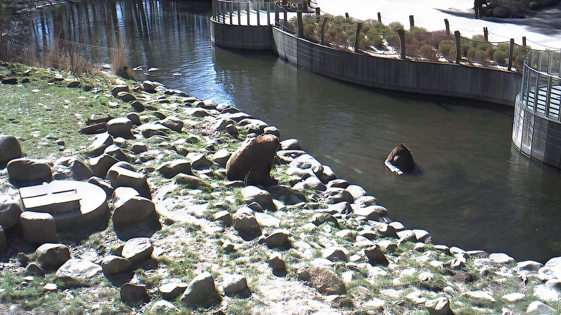 Bewegte Bilder aus dem Wildpark