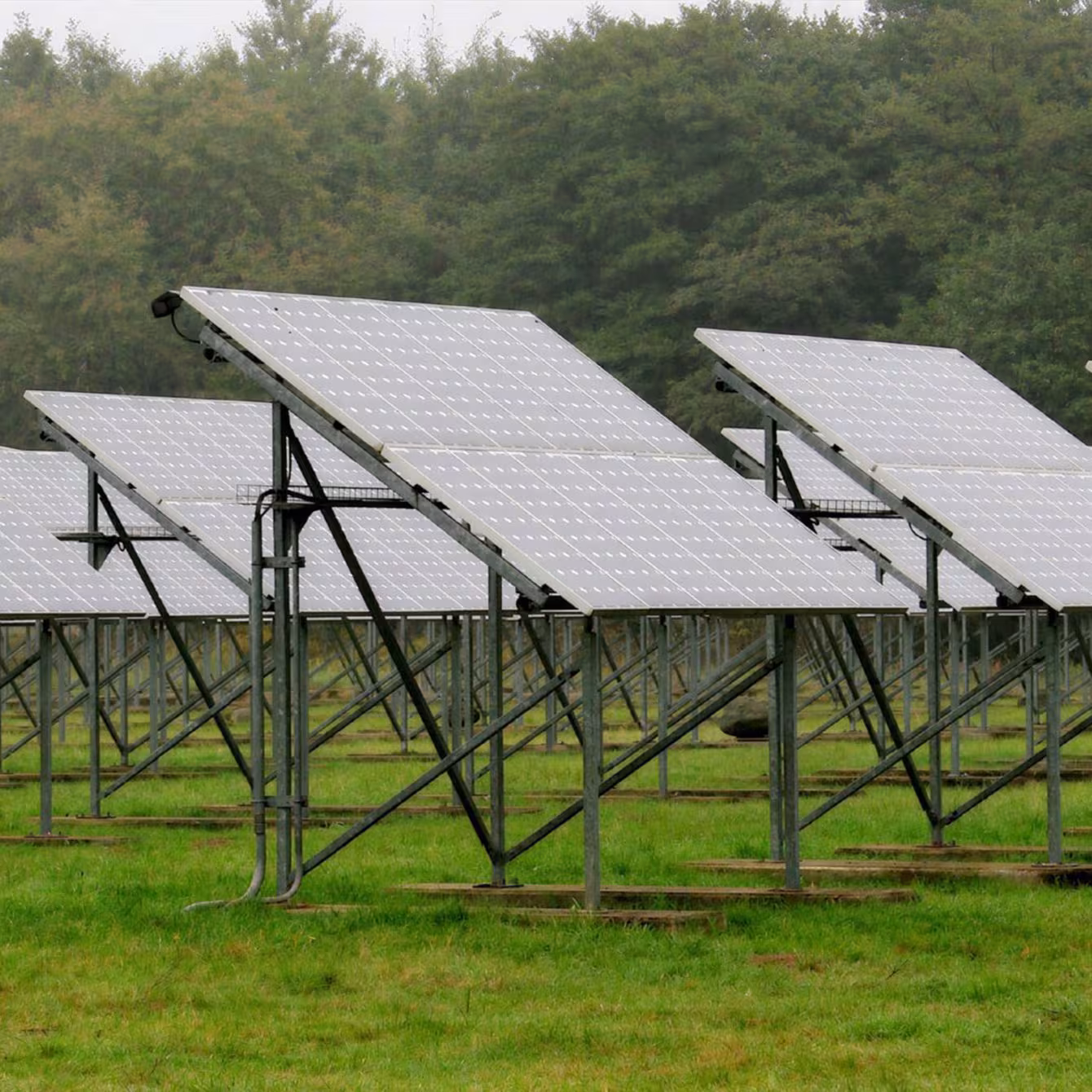 Energiewelten im Wildpark-MV