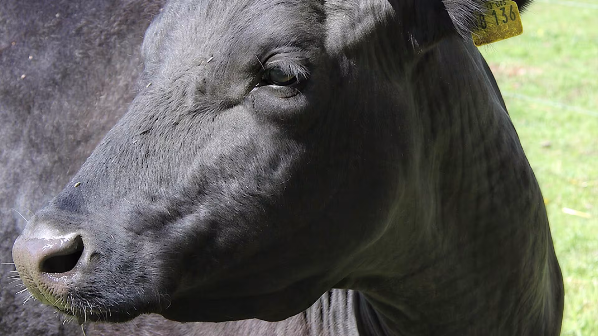 Frauentags-Rabatt im Wildpark-MV