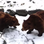 Fred & Frode haben die Winterruhe beendet!