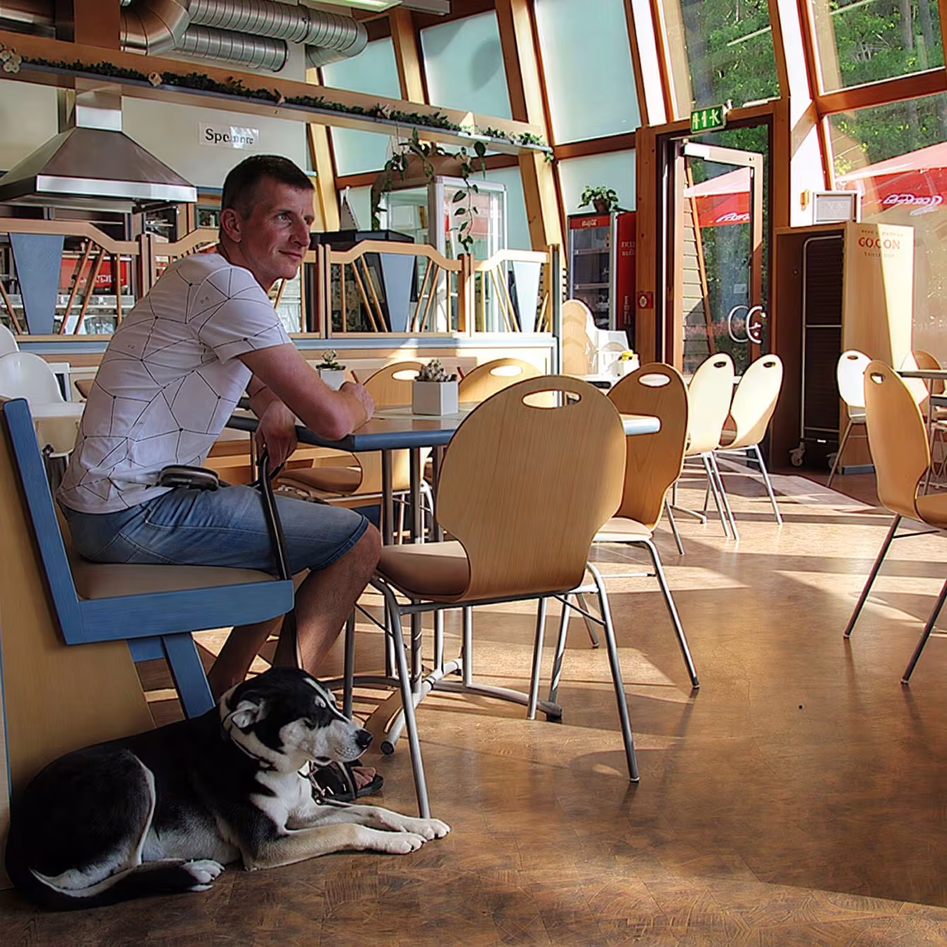 Gastronomie im Wildpark-MV
