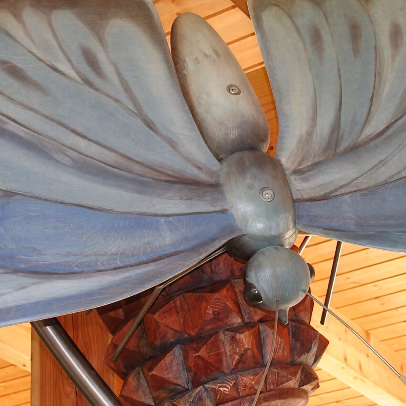 Haus Spinne im Wildpark-MV