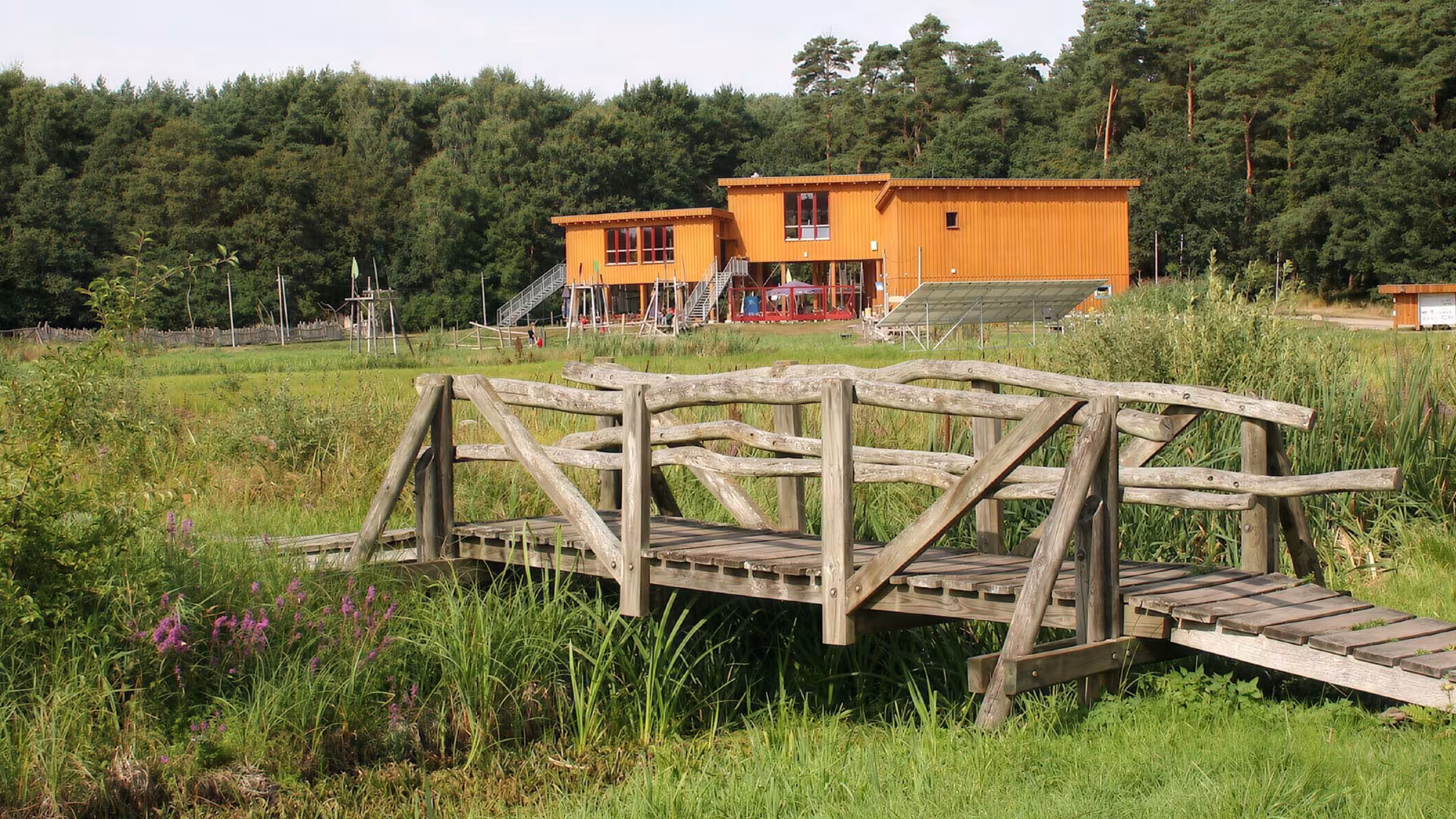 Haus Spinne im Wildpark-MV