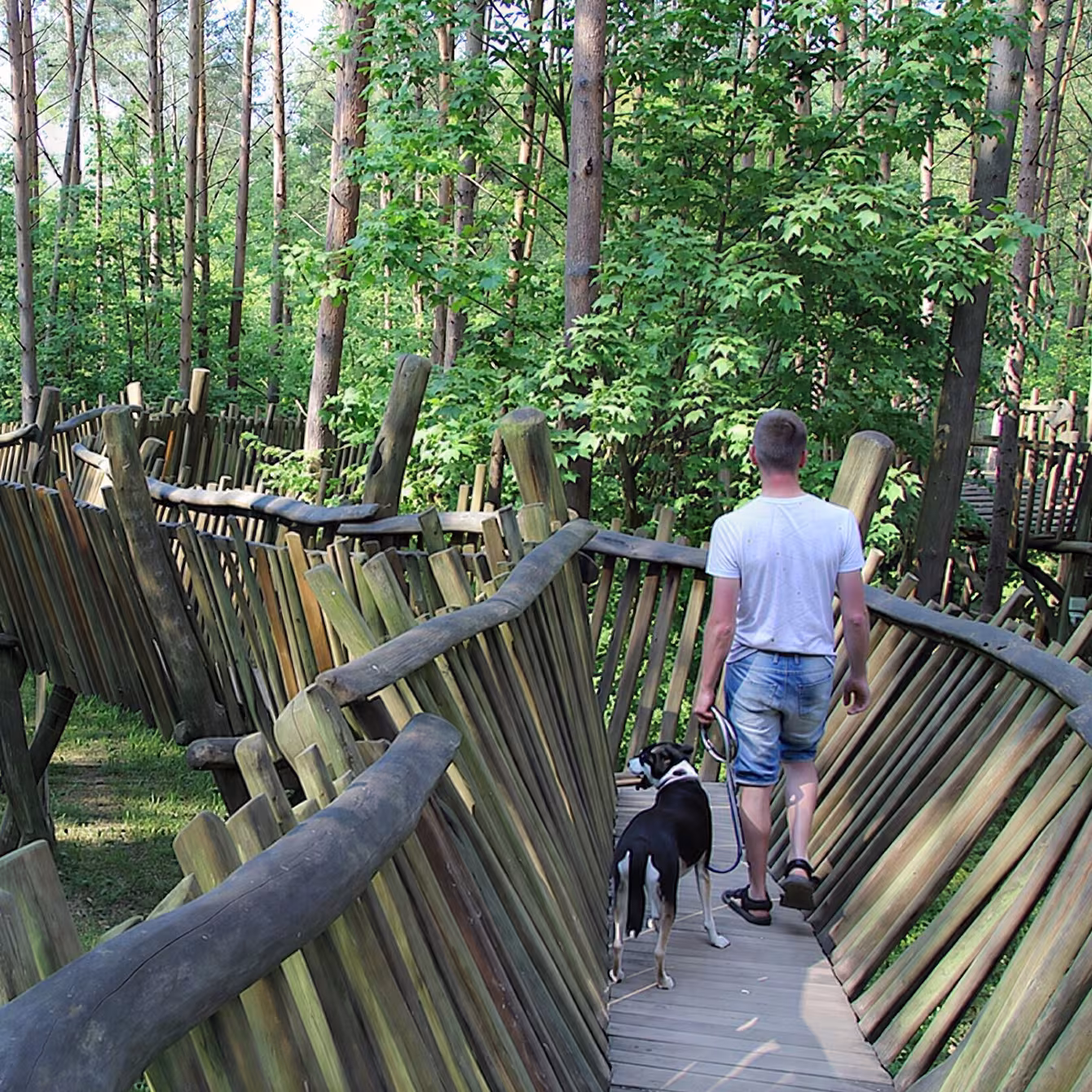 Unterwegs durch die Raubtier-WG mit Blick auf das Gehege der Luchse und Wildkatzen.