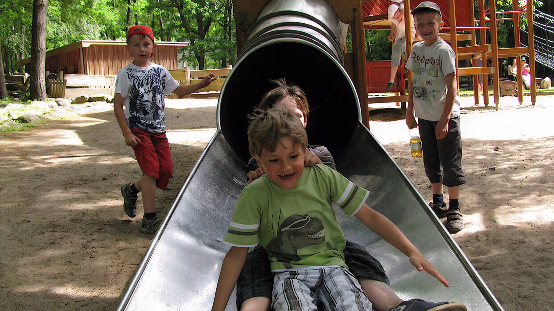 Kindergeburtstag im Wildpark-MV
