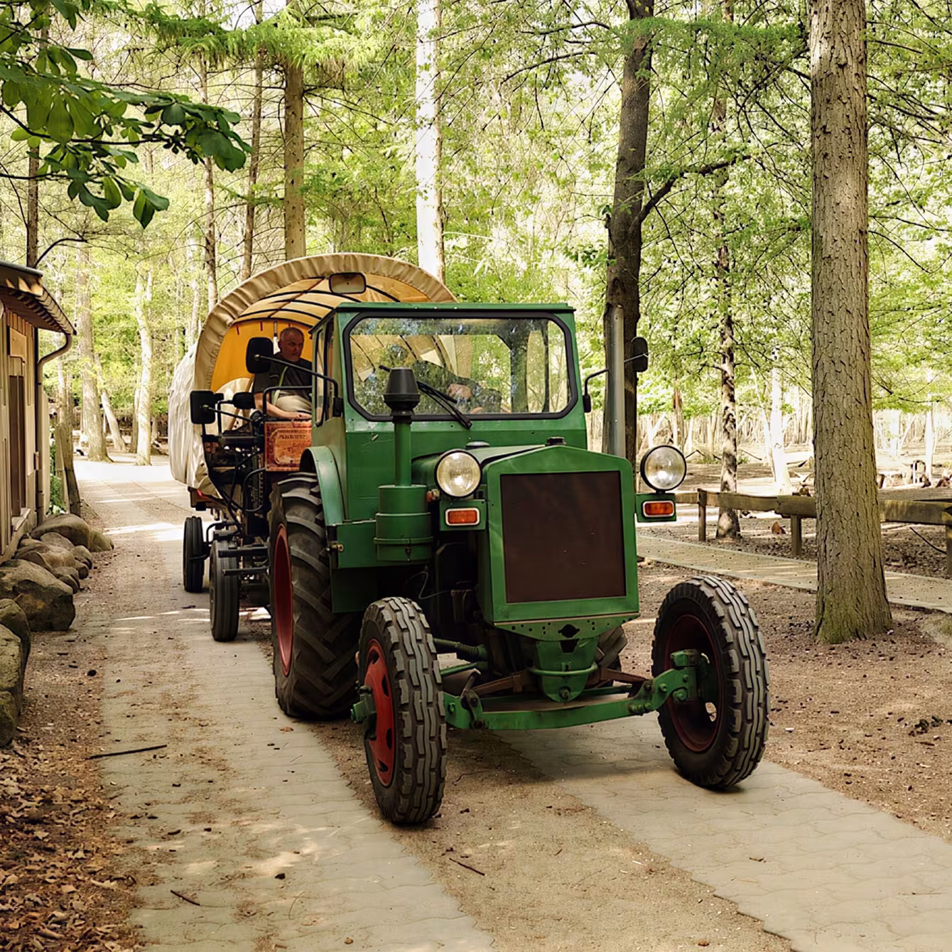 Kremserfahrt durch den Wildpark-MV
