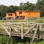 Landesweiter Tag der Biodiversität
