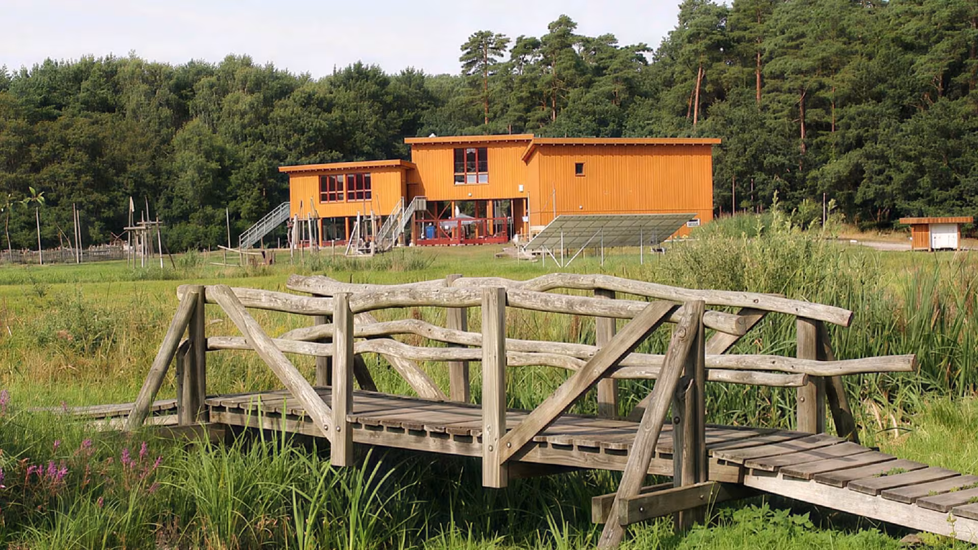 Landesweiter Tag der Biodiversität
