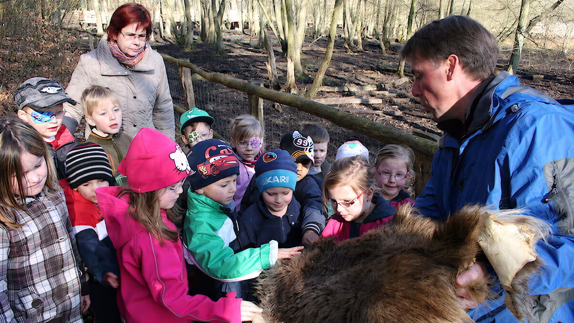 Kindergruppe im Wildpark-MV