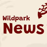 Aktuelles: News aus dem Wildpark-MV