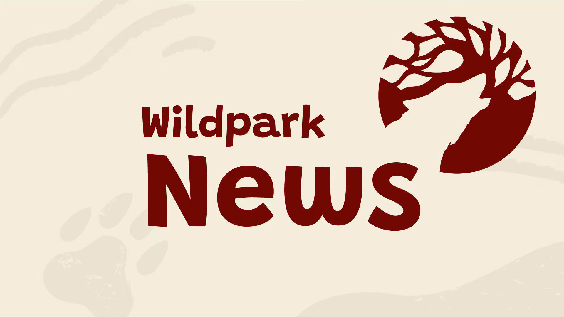 Aktuelles: News aus dem Wildpark-MV