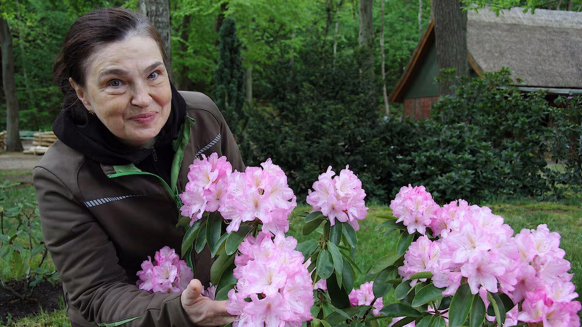 Rhododendron-Blüte
