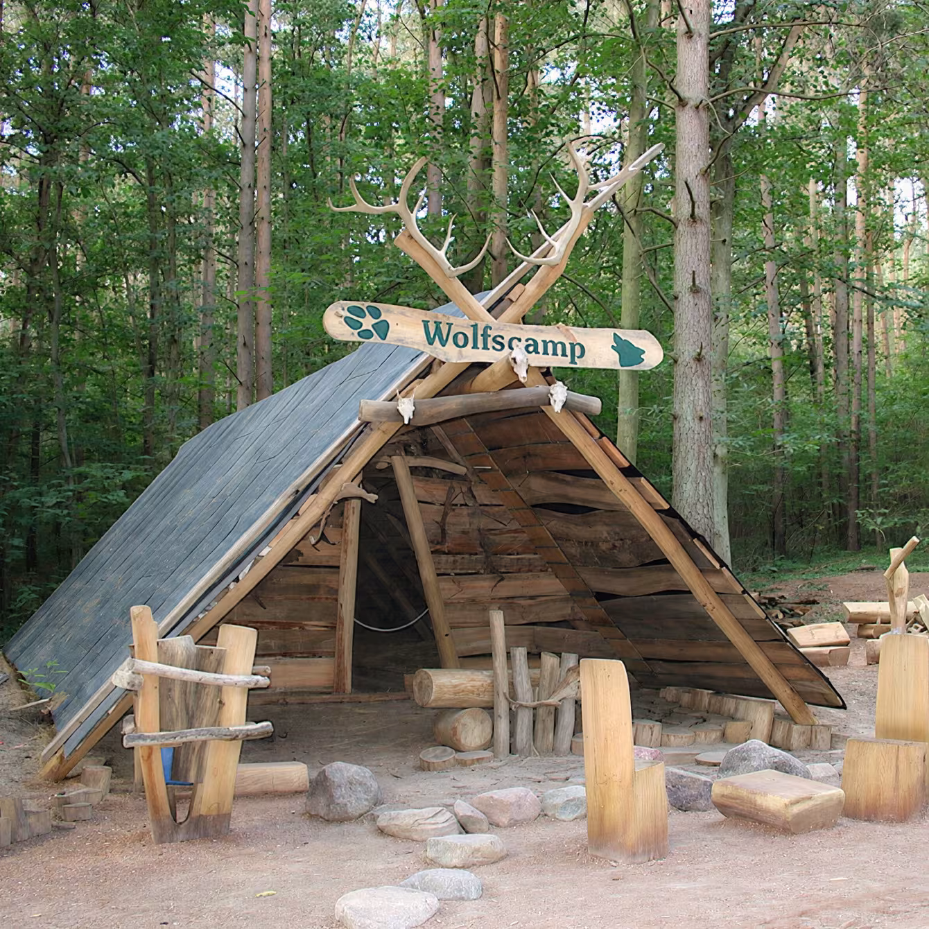 Schulausflüge im Wildpark-MV: Wolfscamp