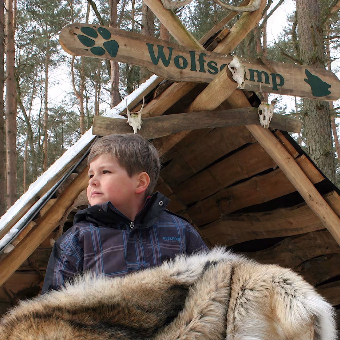 Schulausflüge im Wildpark-MV: Wolfscamp