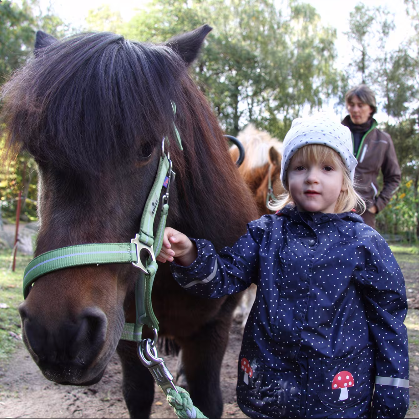 Kind mit Pferd im Wildpark-MV