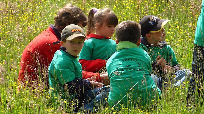 Spielplätze im Wildpark-MV: Spielen in den WiesenWelten