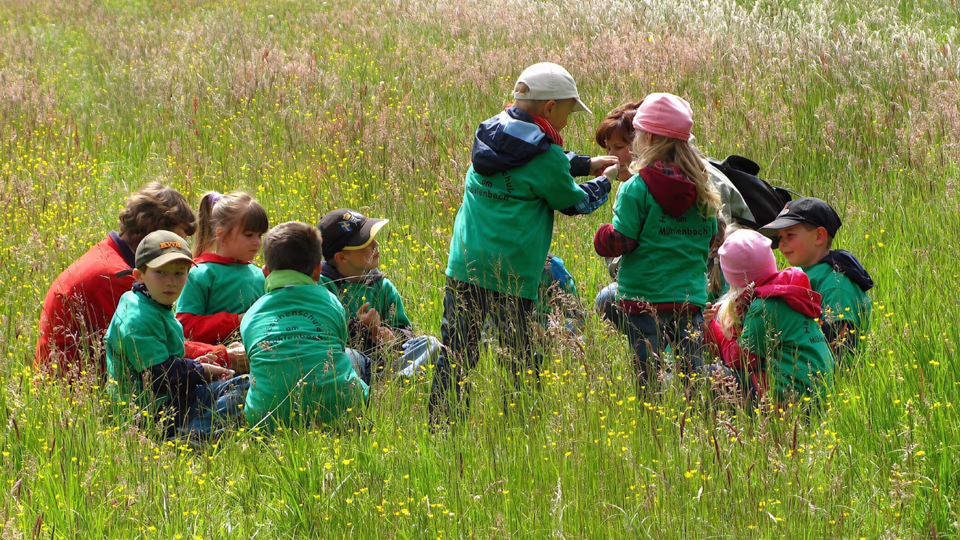 Spielplätze im Wildpark-MV: Spielen in den WiesenWelten