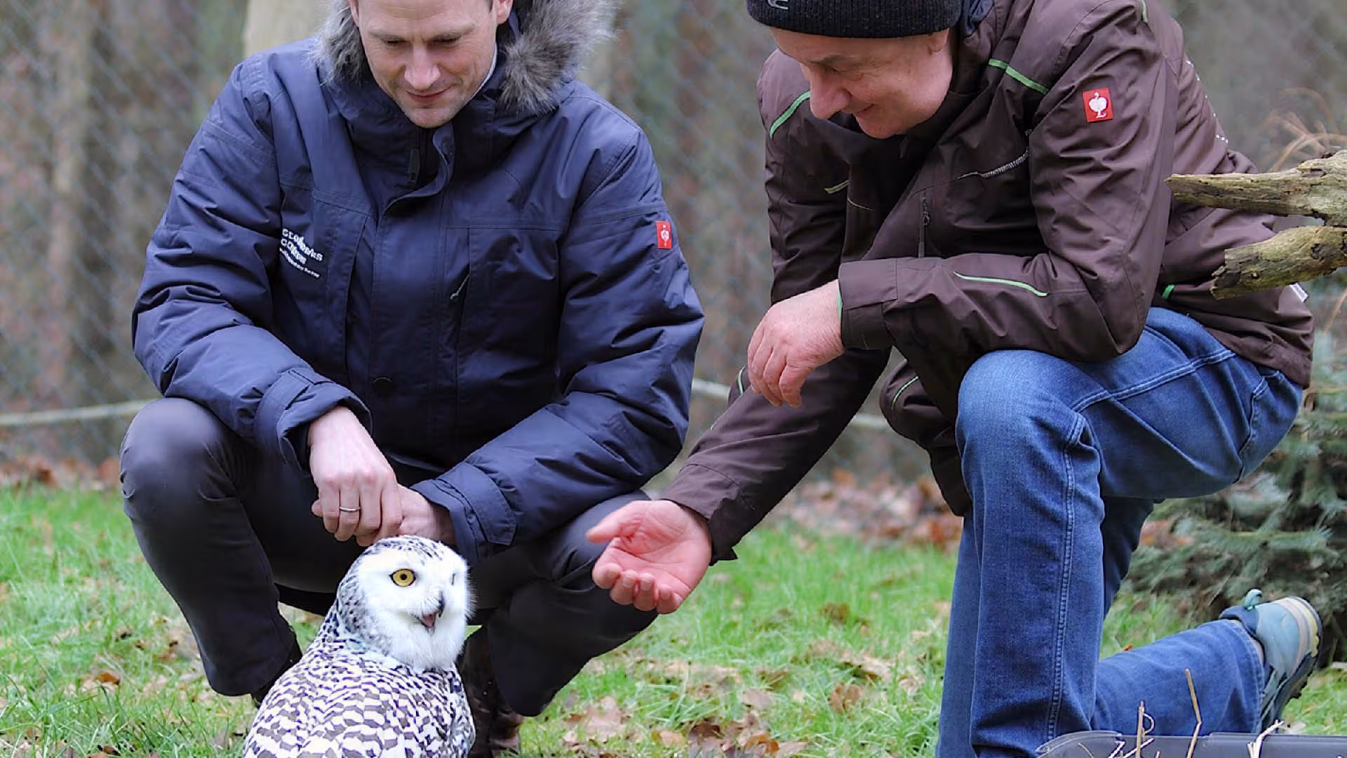 Stadtwerke Güstrow unterstützt Wildpark-MV