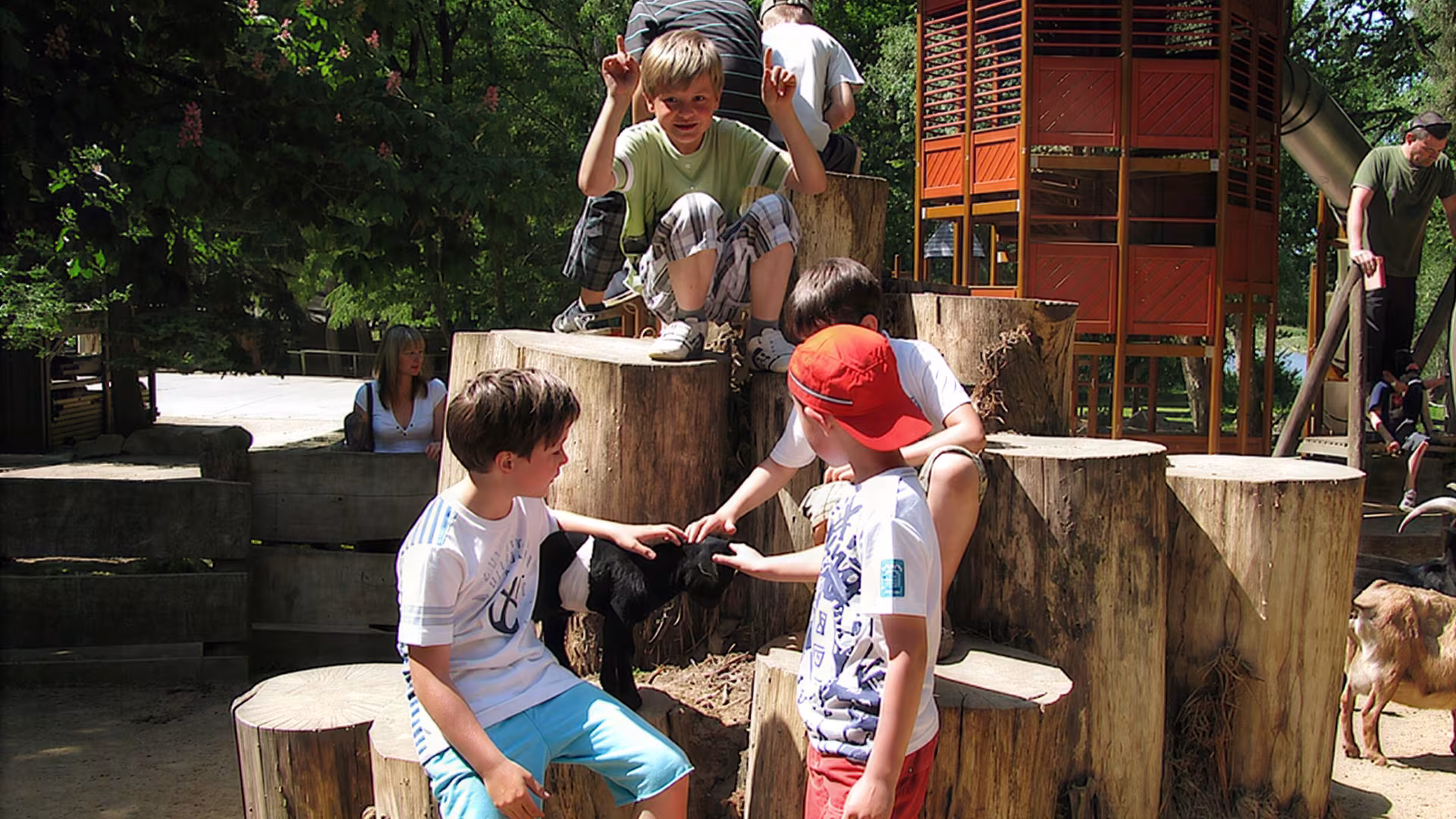 Kinder im Wildpark-MV: Streichelzoo