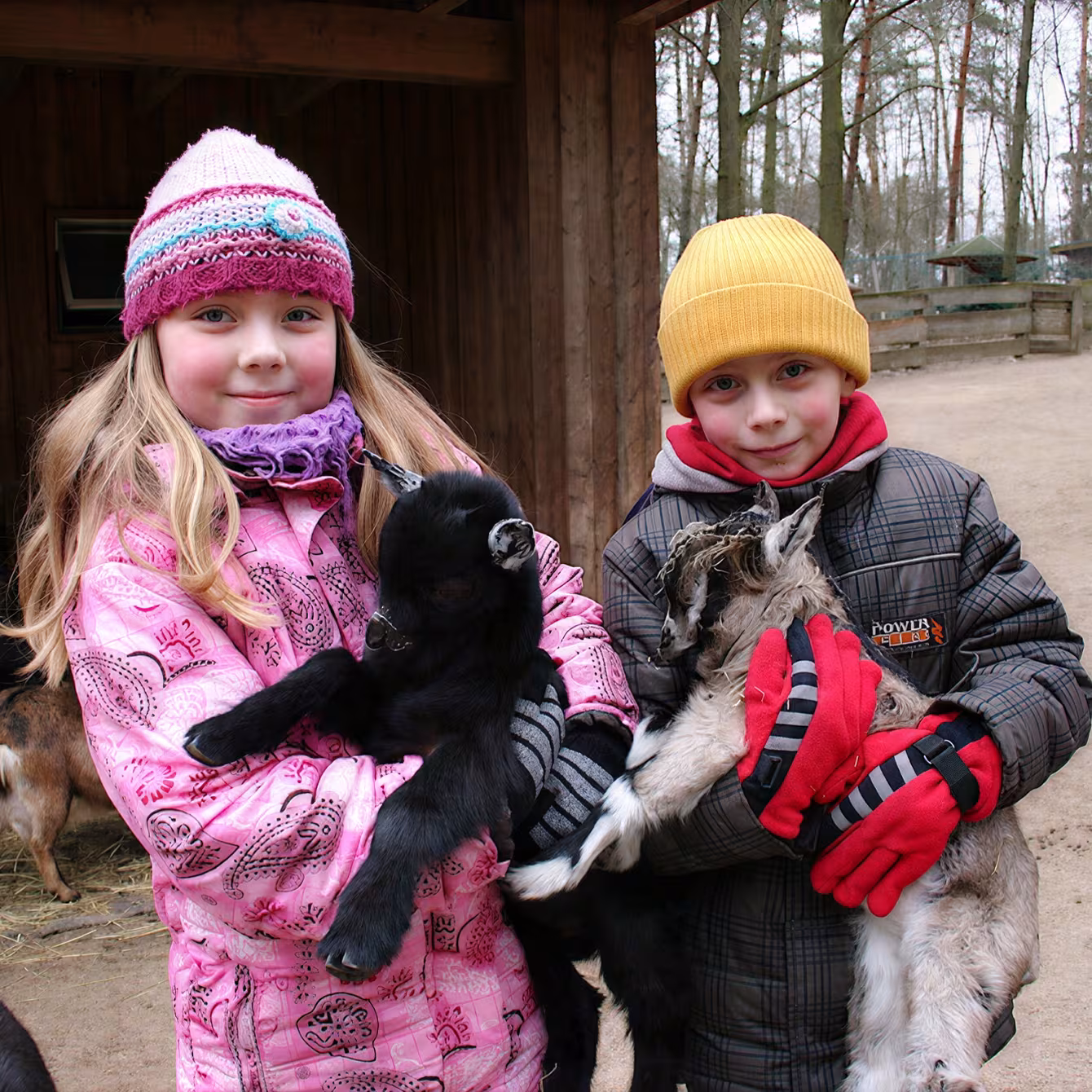 Kinder im Wildpark-MV: Streichelzoo