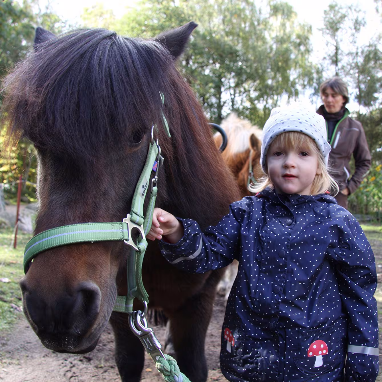 Tierbegegnung im Wildpark-MW mit einem Pony