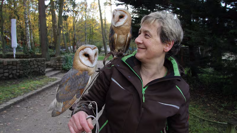 Übernimm eine Tierpatenschaft im Wildpark-MV