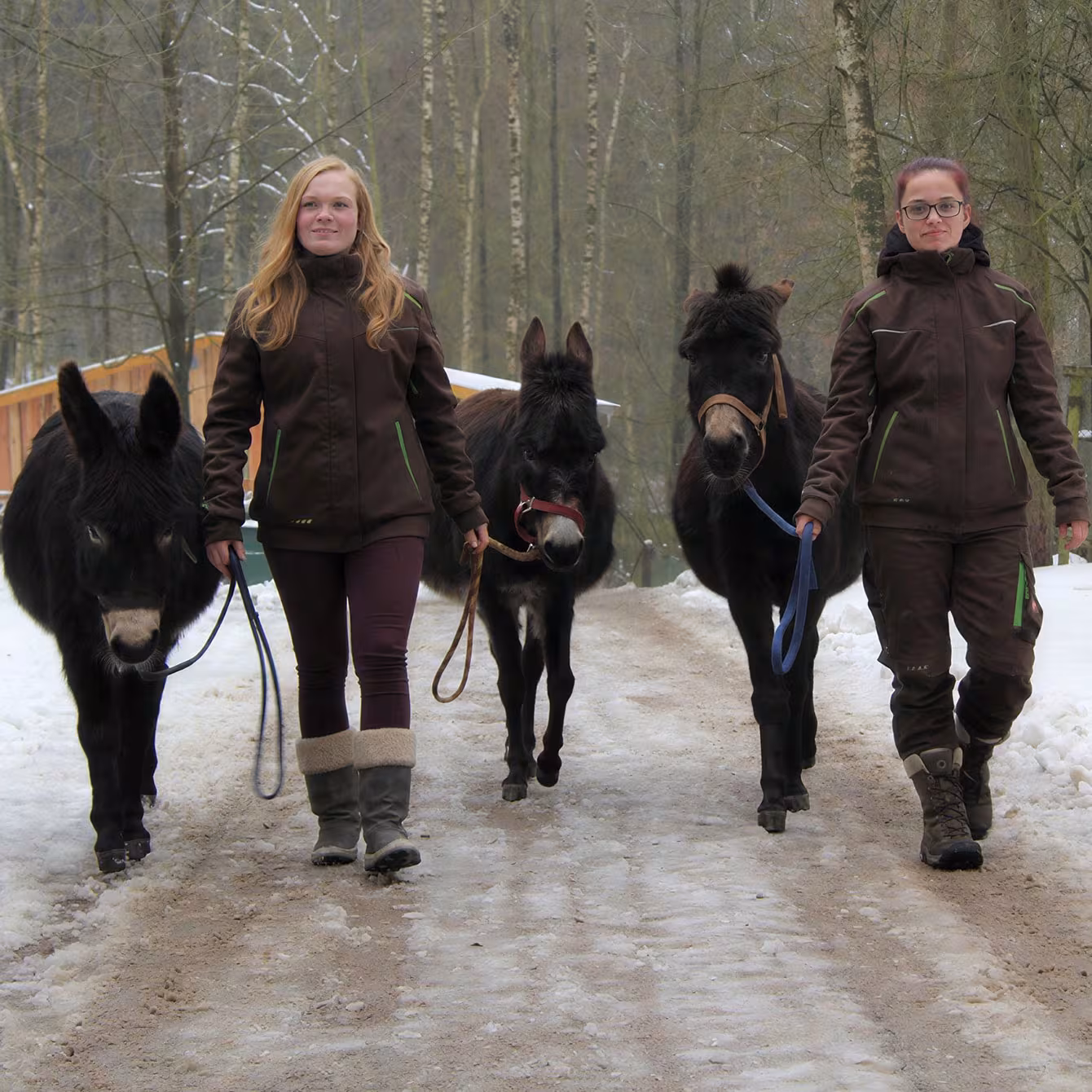 Zwei Frauen mit Eseln im Wildpark-MV