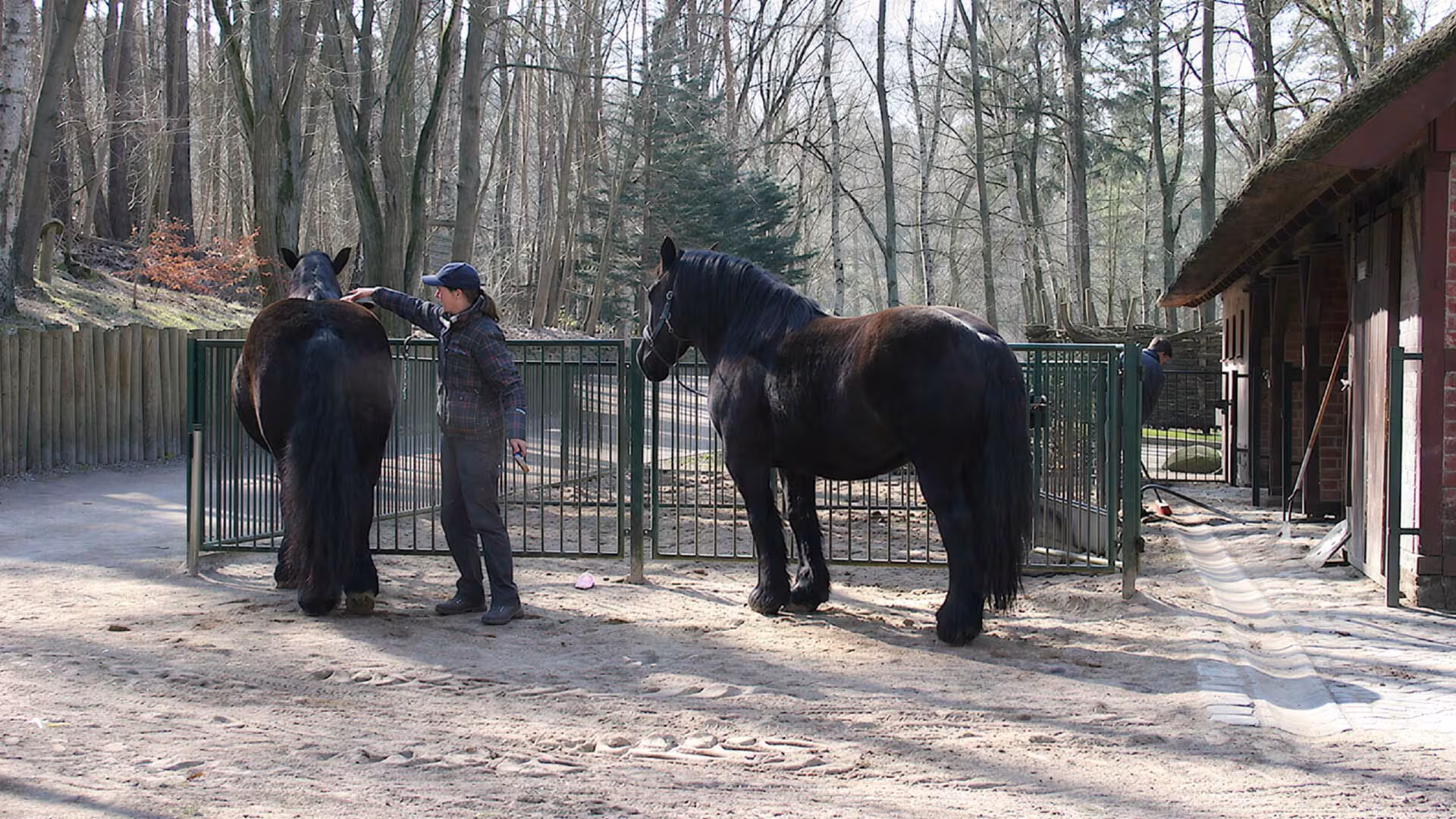 Trainingsbeginn für Gusti und Eveline