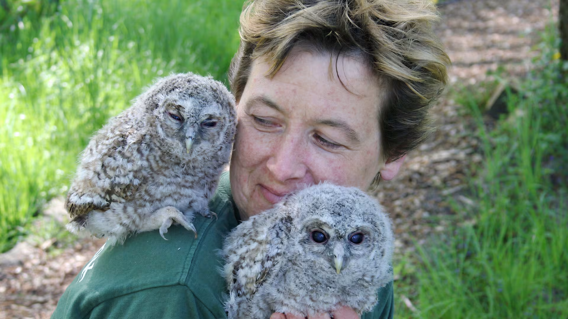 Umweltbildung Wildpark-MV: von der Natur lernen