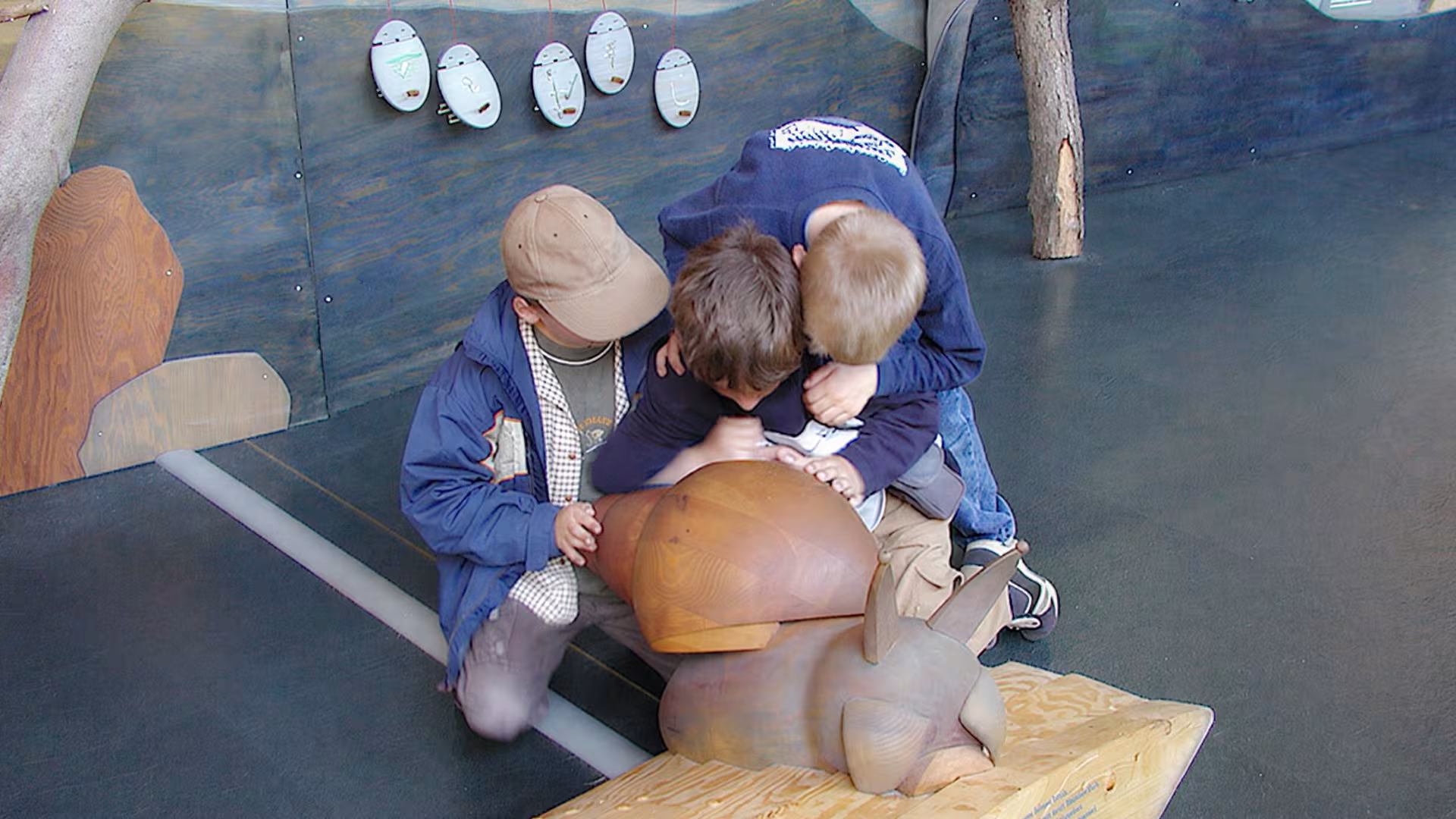 Wasserwelten: Ausstellung rund ums Thema Wasser im Wildpark-MV