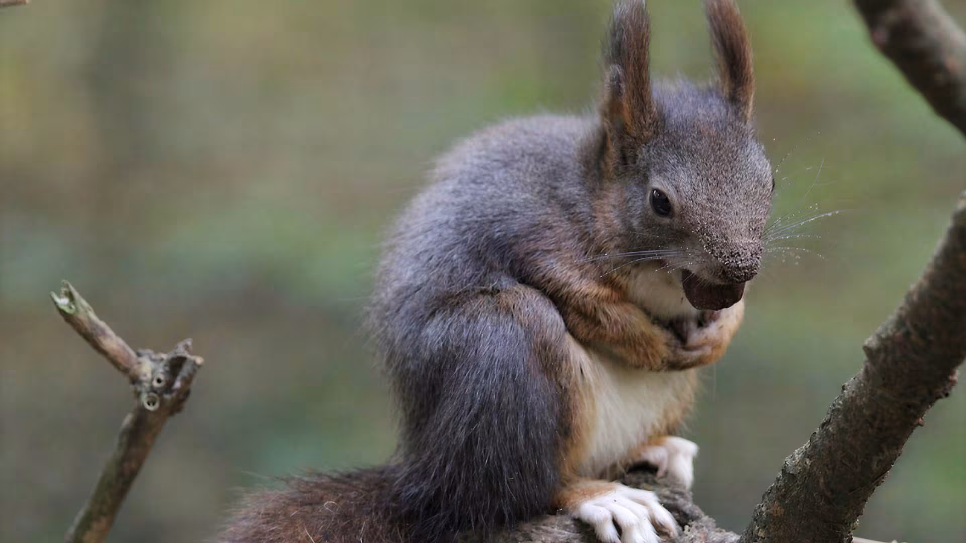 Wildpark-Abenteuer zu jeder Jahreszeit – Bild 1