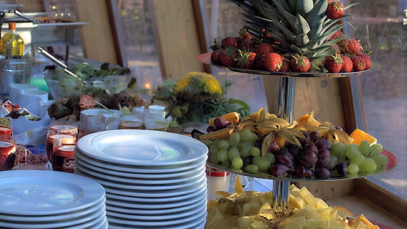 Gastronomie im Wildpark-MV