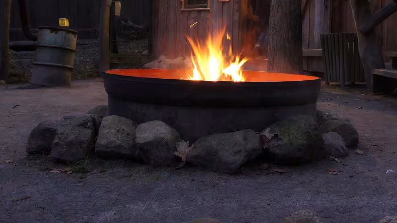 Grillen im Wildpark-MV
