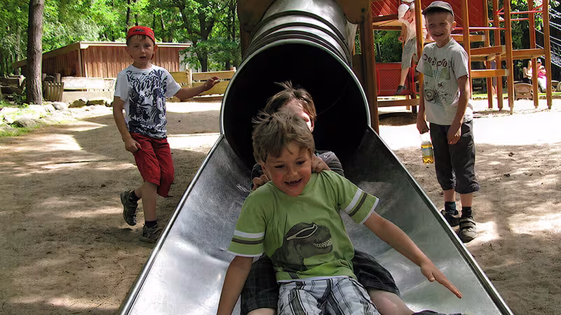 Kindergeburtstag im Wildpark-MV
