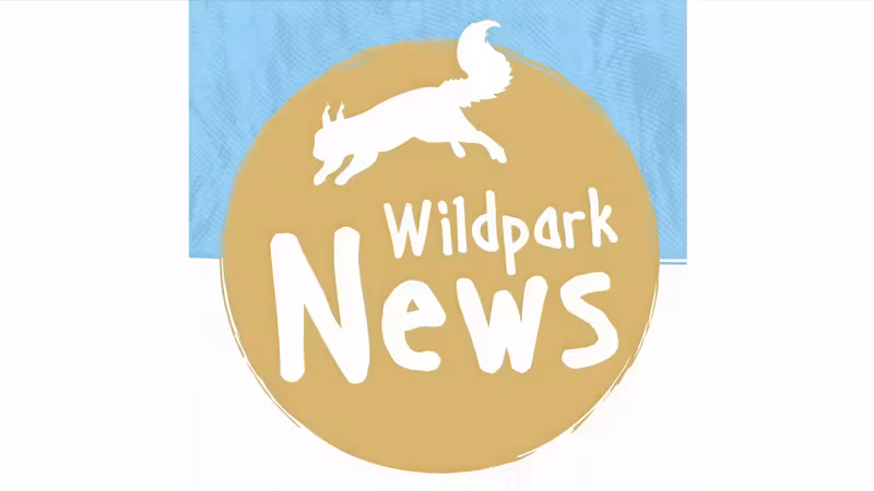 Wildpark-MV: News, Aktuelles