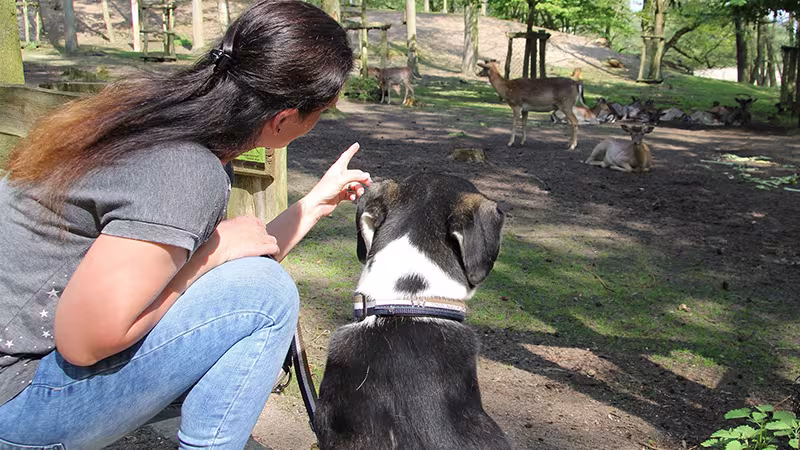 Frau mit Hund im Wildpark-MV