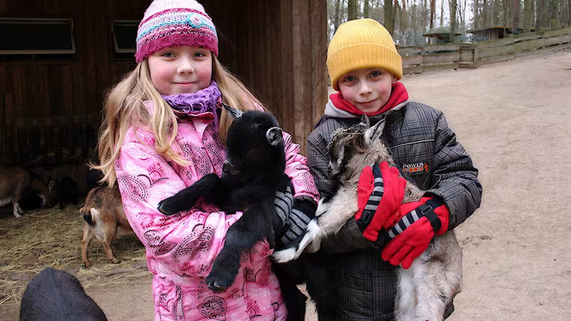 Streichelzoo im Wildpark-MV
