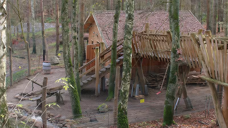 Übernachten in der Wolfshütte